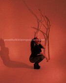 Анкета проститутки Роза - метро Северное Медведково, возраст - 19