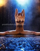 Анкета проститутки Лолита - метро Чертаново Южное, возраст - 29